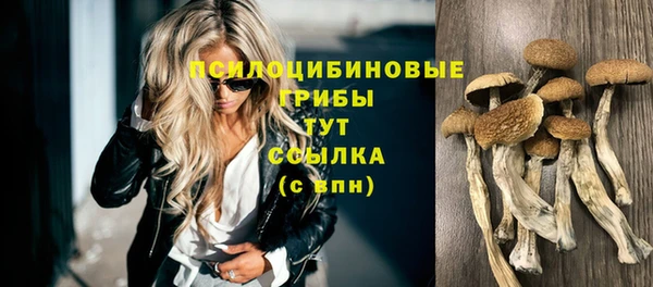 ALPHA-PVP Арсеньев