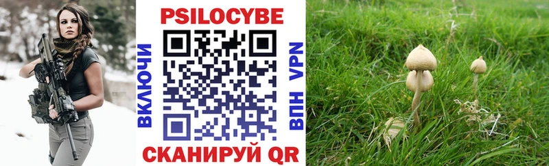 Галлюциногенные грибы мицелий  Белоярский 